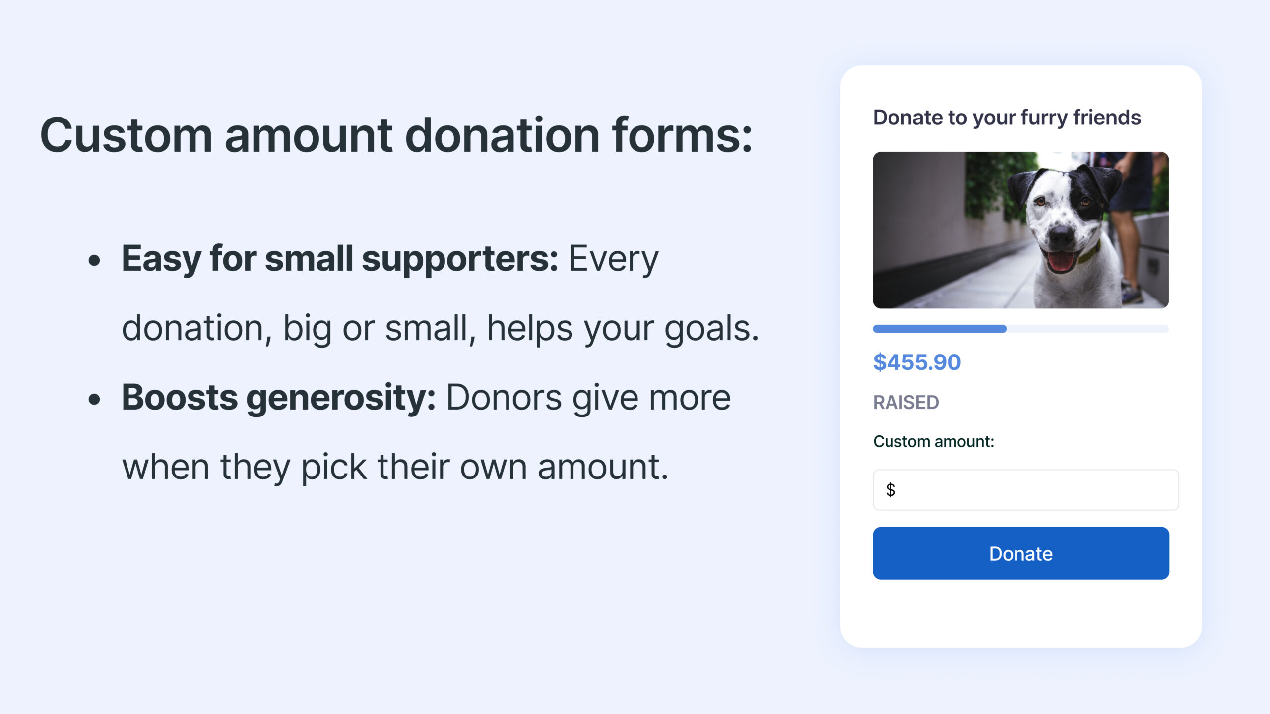 Custom Amount Donations